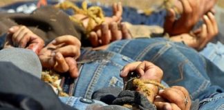 Localizan 7 ejecutados y 4 restos humanos en Veracruz
