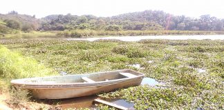Ejidatario secarán laguna de El Castillo