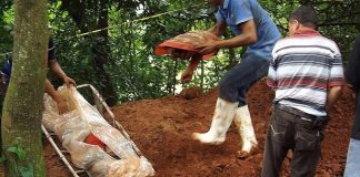 Descabezan a adolescente en San Pedro Soteapan