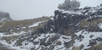 Nevada congela al Cofre de Perote