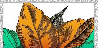 Contribución al acervo, exposición colectiva en el IAP