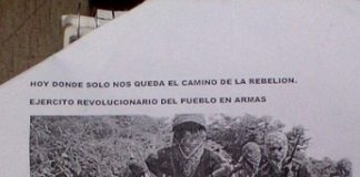 Orizaba: Pueblo en armas