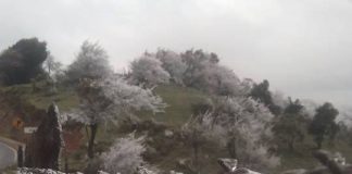 Imágenes de municipios congelados en Veracruz