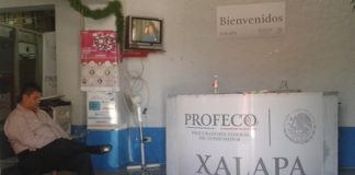 Renuncia titular de Profeco en Xalapa