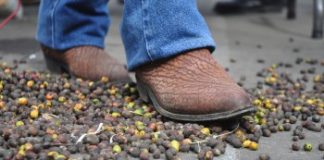 Cafetaleros exigen a Sagarpa cumplir con los acuerdos del programa Procafe 2018