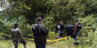 Ineptocracia criminal