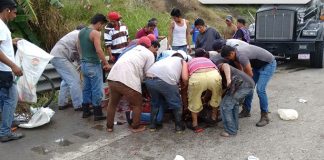 Destazan a las vacas heridas tras accidente carretero