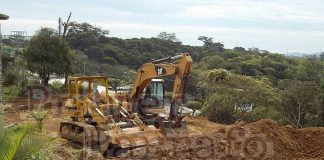 Video: En riesgo parque Natura de Xalapa, talan árboles para construir fraccionamiento