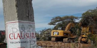 Ayuntamiento de Xalapa autorizó construcción de agencia automotriz en el parque Natura