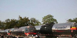 Aseguran cargamento de gas LP y animales exóticos en Tihuatlán