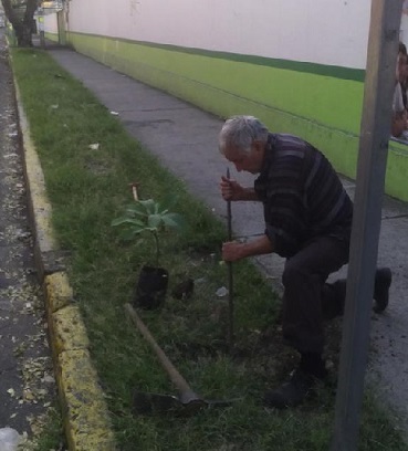 Un ciudadano preocupado por la falta de vegetación en Xalapa.