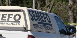 Encuentran 5 cuerpos destazados en Amatlán de los Reyes, centro de Veracruz