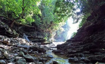 Pozas y cascadas; las entrañas de Zozocolco