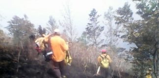 Incontrolable incendio forestal en el cerro de Santa Martha