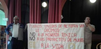 Proyecto minero comienza a afectar entorno ecológico de Veracruz