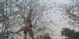 Descienden águilas, al caer la tarde