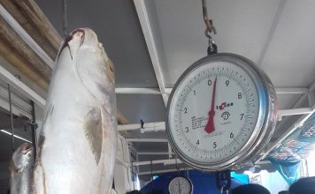 Coman pescados y mariscos: vendedores de La Rotonda