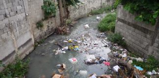 “Sin resolver severa contaminación en Veracruz”: Angélica Pineda