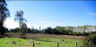 En Poza Rica, Tihuatlán, y Papantla están dando terrenos a cambio de votos: Antorcha Campesina