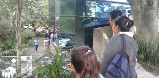 (Video) Mujer se suicida al lanzarse de la Torre Ánimas