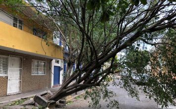 Atiende Protección Civil Municipal de Veracruz 94 reportes