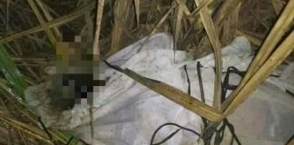 Localizan cuerpo de persona envuelto en una sábana en Ixtaczoquitlán