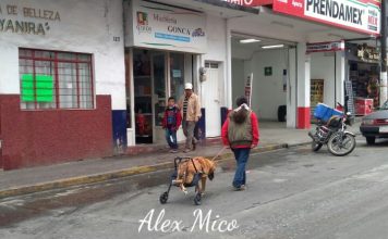 Historia de una Diva