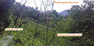 (Video) Carlitos, quería construirle una casa a su mamá