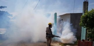 Fumigan contra el dengue, zika y chikungunya, en Alvarado y Veracruz