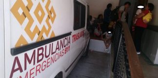 Niños, las principales víctimas del dengue en Coatepec