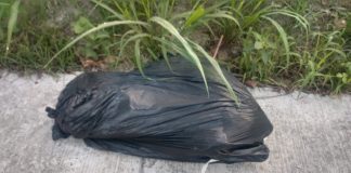 Arrojan cuerpo embolsado junto a un patio abandonado, en Papantla