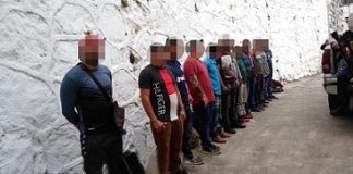 Detienen a dos polleros en Amatlán de los Reyes