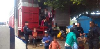 Rescatan a cien migrantes, 32 son niños; en carretera Cosoleacaque-Cosamaloapan
