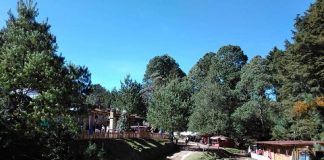 Festival de la Niebla 2019 Bosque y Café