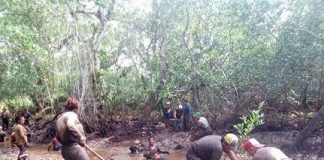 La vida en el lodo; el rescate de los manglares de Tecolutla