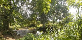 Otro muerto en Martínez de la Torre; estaba en el arroyo Pedernales