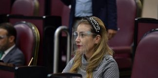 Personas con discapacidad deben recibir atención en emergencia sanitaria, Nora Lagunes