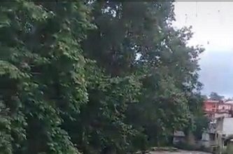 (Vídeo) Menor cae a arroyo en Coatepec