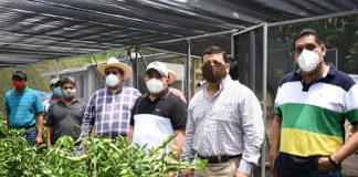Comprueba Gómez Cazarín resultados y beneficios de «Sembrando Vida»