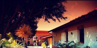 Artes en la Universidad Veracruzana: una transformación integral Fotografía ilustrativa tomada de https://www.uv.mx/artesplasticas/contacto-facultad-de-artes-plasticas/