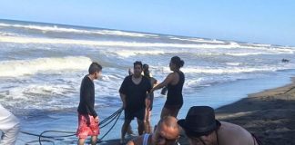 Por poco y no sale del mar turista de México
