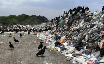 Clausuran basurero de Lerdo de Tejada
