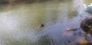 Encuentran cuerpo flotando en Río Bobos, en Martínez de la Torre