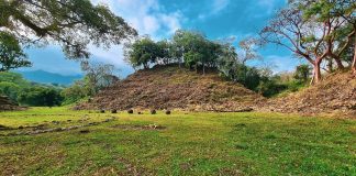 En Los ídolos celebraron el Festival del Sol, “el amanecer de un nuevo ciclo”