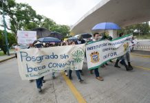 Educación superior en números rojos: la crisis estructural que el PEF 2026 no resuelve, advierte Dialoga Mx