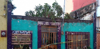 Fue desmembrado en Xalapa un hombre de la CDMX